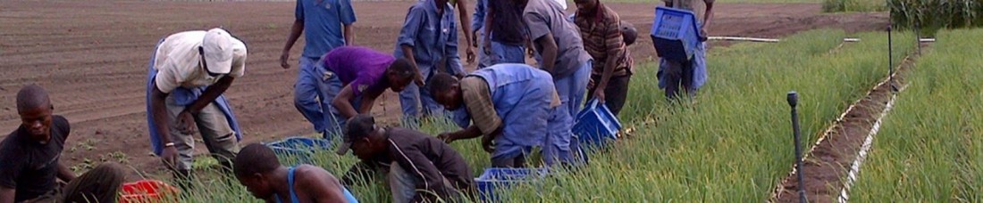 RDC – Agro-industrie – Kitoko Food