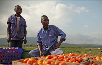 RDC – Agro-industrie – Kitoko Food