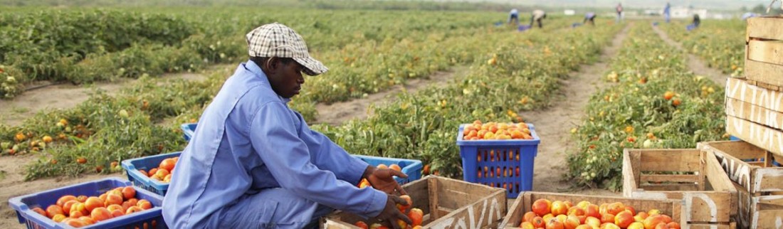 RDC – Agro-industrie – Kitoko Food