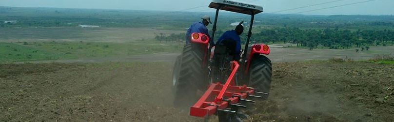 RDC – Agro-industrie – Kitoko Food