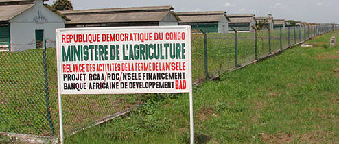 RDC – Agro-industrie – DAIPN N’Sele