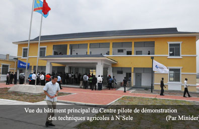 RDC – Agro-industrie – DAIPN N’Sele