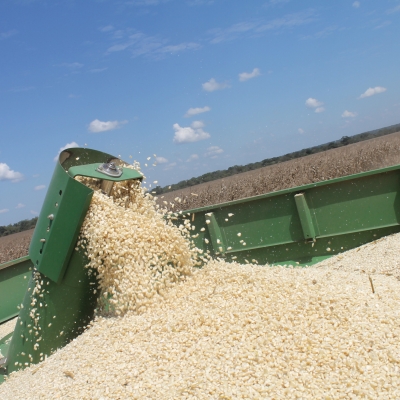 RDC – Agro-industrie – Terra SPRL