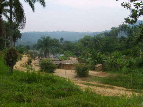 RDC – Plan National d’Investissement Agricole-PNIA