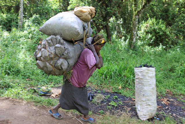 RDC – Plan National d’Investissement Agricole-PNIA