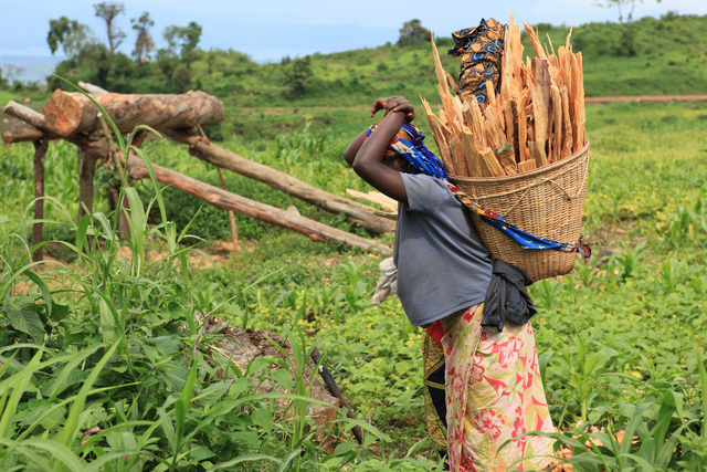 RDC – Plan National d’Investissement Agricole-PNIA