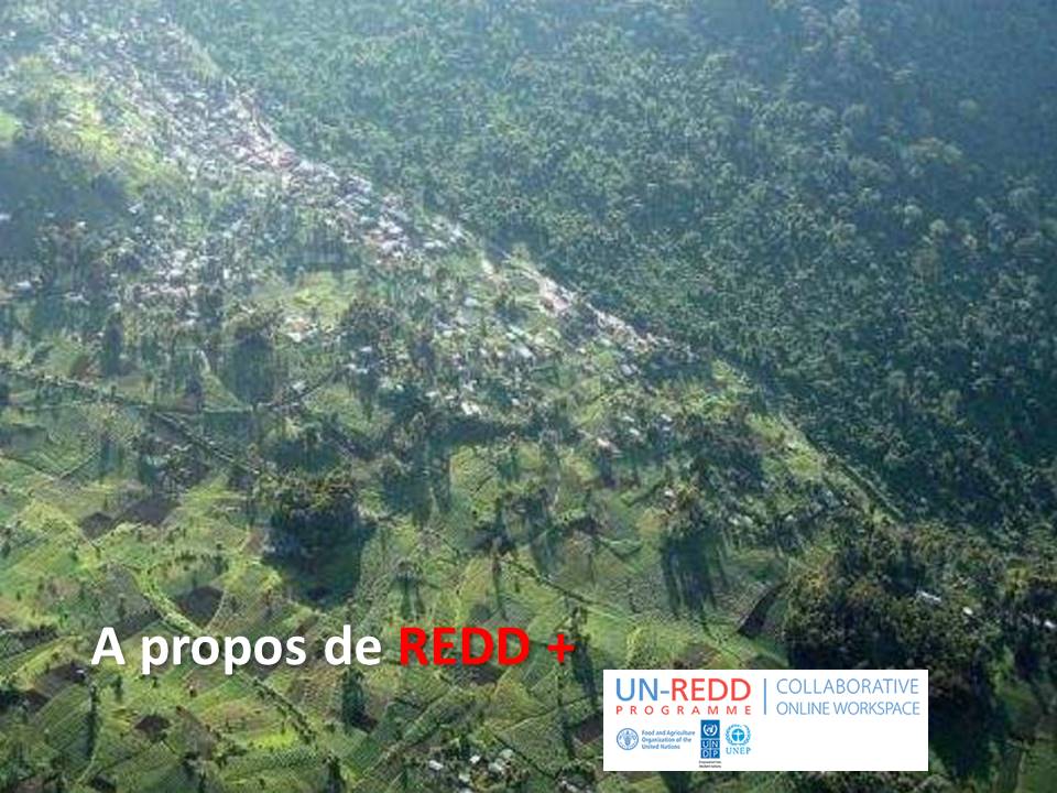 RDC – Plan National d’Investissement Agricole-PNIA