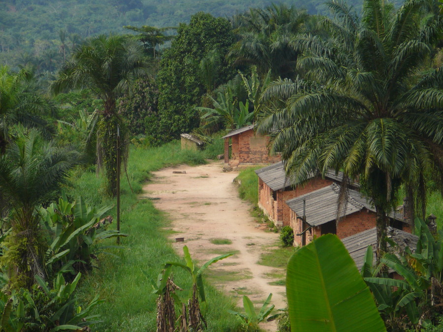 RDC  Plan National d’Investissement AgricolePNIA  Thierry